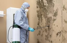 Best Residential Mold Inspection & Testing in Vinita, OK